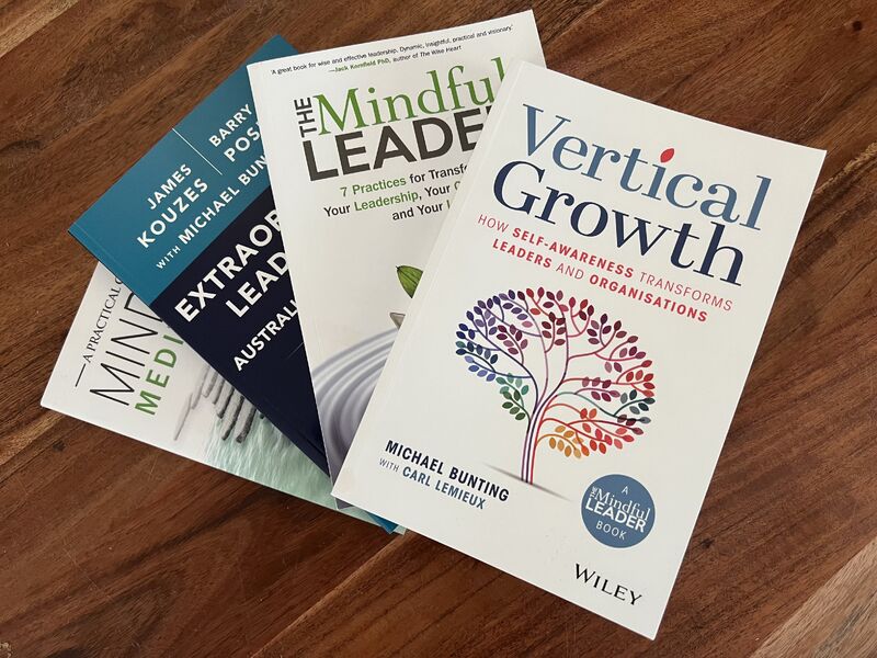 Vertical Growth, The Mindful Leader